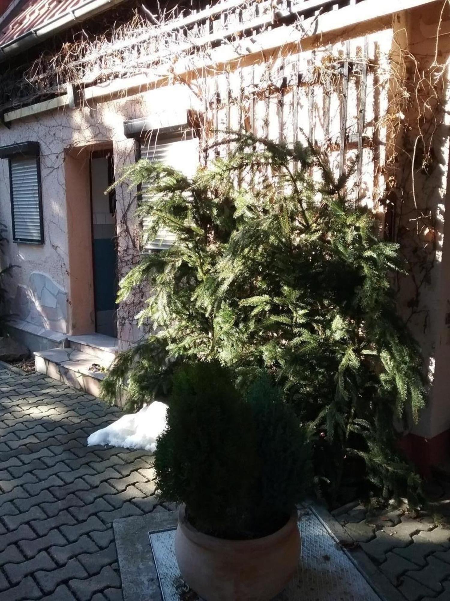 Bergnest Bungalow Bad Gottleuba Exterior foto